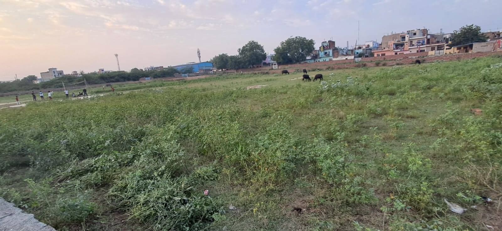 Prabhave, warehouse in Agra
